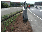 Pict; Caltrans Safety Review
